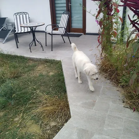Casa Doris * Montabone